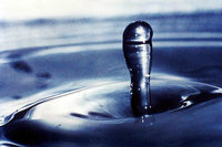 Wissenschaftler enträtseln das Geräusch von Wassertropfen Wissenschaftler enträtseln das Geräusch von Wassertropfen