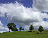 Fluchtpunkt: Allgäu Fluchtpunkt: Allgäu