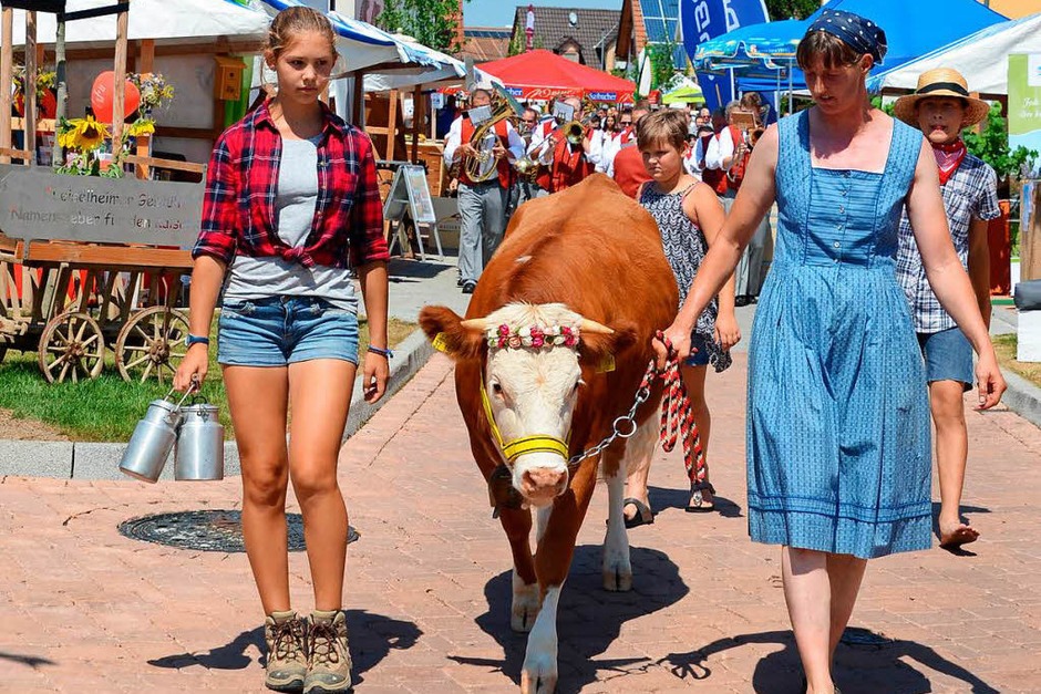 Beim Festumzug führte die Familie Bee ein wunderschönes Kälbchen mit – natürlich festlich geschmückt. (Foto: Roland Vitt) Beim Festumzug führte die Familie Bee ein wunderschönes Kälbchen mit – natürlich festlich geschmückt. (Foto: Roland Vitt)