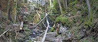 Was wird aus dem Falkauer Wasserfall? Was wird aus dem Falkauer Wasserfall?