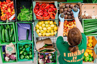 Die großen Handelsketten dominieren den Bio-Markt Die großen Handelsketten dominieren den Bio-Markt