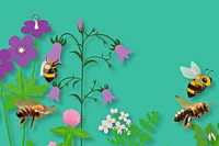Zu gewinnen: Führung durch die Ausstellung "Mensch Biene!" und Insektennistkasten-Workshop im Freiburger Museum Natur und Mensch Zu gewinnen: Führung durch die Ausstellung "Mensch Biene!" und Insektennistkasten-Workshop im Freiburger Museum Natur und Mensch