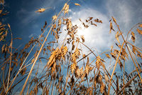Landwirtschaftsminister kündigt Hilfe für dürregeplagte Bauern an Landwirtschaftsminister kündigt Hilfe für dürregeplagte Bauern an