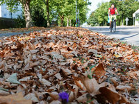Wenn der Sommer zum Herbst wird Wenn der Sommer zum Herbst wird