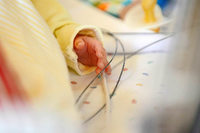 Keine neu infizierten Frühchen in der Freiburger Uniklinik Keine neu infizierten Frühchen in der Freiburger Uniklinik