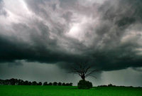 Wetterumschwung erwartet – Kaltfront bringt Erfrischung in den Südwesten Wetterumschwung erwartet – Kaltfront bringt Erfrischung in den Südwesten