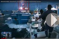 Französische und britische Fischkutter gehen aufeinander los Französische und britische Fischkutter gehen aufeinander los