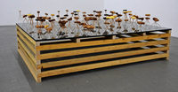 Bienen im Kunsthaus Bienen im Kunsthaus