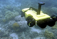 Roboter mit der Lizenz zum Töten Roboter mit der Lizenz zum Töten