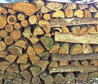 Bald ist Herbstanfang Bald ist Herbstanfang