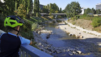 Für mehr Leben am Unterlauf der Wiese Für mehr Leben am Unterlauf der Wiese