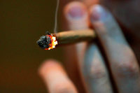 Zwei Männer sollen Marihuana für Hunderttausende Joints nach Südbaden gebracht haben Zwei Männer sollen Marihuana für Hunderttausende Joints nach Südbaden gebracht haben