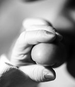 Das Unfassbare festhalten Das Unfassbare festhalten