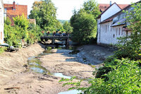 Warum die Alte Elz derzeit fast kein Wasser führt Warum die Alte Elz derzeit fast kein Wasser führt