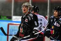 Der EHC Freiburg verliert daheim gegen Bad Nauheim mit 0:2 Der EHC Freiburg verliert daheim gegen Bad Nauheim mit 0:2
