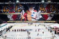 Fotos: Düsseldorf gewinnt Winter-Game vor fast 50.000 Fans gegen Kölner Haie Fotos: Düsseldorf gewinnt Winter-Game vor fast 50.000 Fans gegen Kölner Haie