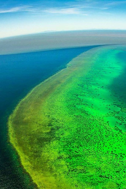 Dem Great Barrier Reef Vor Australien Droht Neues Unheil Panorama