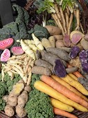 Wissen rund um alte Sorten von Obst und Gemüse Wissen rund um alte Sorten von Obst und Gemüse
