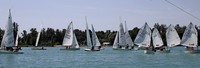 Sommerregatta in Meißenheim Sommerregatta in Meißenheim