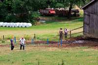 Stier tötet Landwirt und dessen Vater auf Weide in der Oberpfalz Stier tötet Landwirt und dessen Vater auf Weide in der Oberpfalz