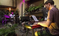 Das Herbol-Jazz-Festival in Herbolzheim geht in die dritte Runde Das Herbol-Jazz-Festival in Herbolzheim geht in die dritte Runde