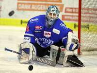 Bei den Schwenninger Wild Wings herrscht eine Euphorie wie noch nie Bei den Schwenninger Wild Wings herrscht eine Euphorie wie noch nie
