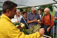 Kaiser-Wilhelm-Gurken und vieles mehr: Plädoyer für alte Obst- und Gemüsesorten Kaiser-Wilhelm-Gurken und vieles mehr: Plädoyer für alte Obst- und Gemüsesorten