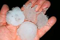Heftiger Hagel im Markgräflerland – Winzer befürchten Totalschaden Heftiger Hagel im Markgräflerland – Winzer befürchten Totalschaden
