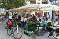 Wochenmarkt: Kunden haben es in der Hand Wochenmarkt: Kunden haben es in der Hand