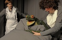 Drei Schweine oder ein Frosch Drei Schweine oder ein Frosch