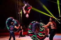 Freuen Sie sich auf spektakuläre Artistik bei Freiburgs Weihnachtscircus Circolo und auf attraktive BZ-Card-Rabatte! Freuen Sie sich auf spektakuläre Artistik bei Freiburgs Weihnachtscircus Circolo und auf attraktive BZ-Card-Rabatte!
