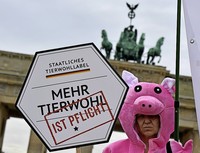 Campact fühlt sich abgewertet Campact fühlt sich abgewertet