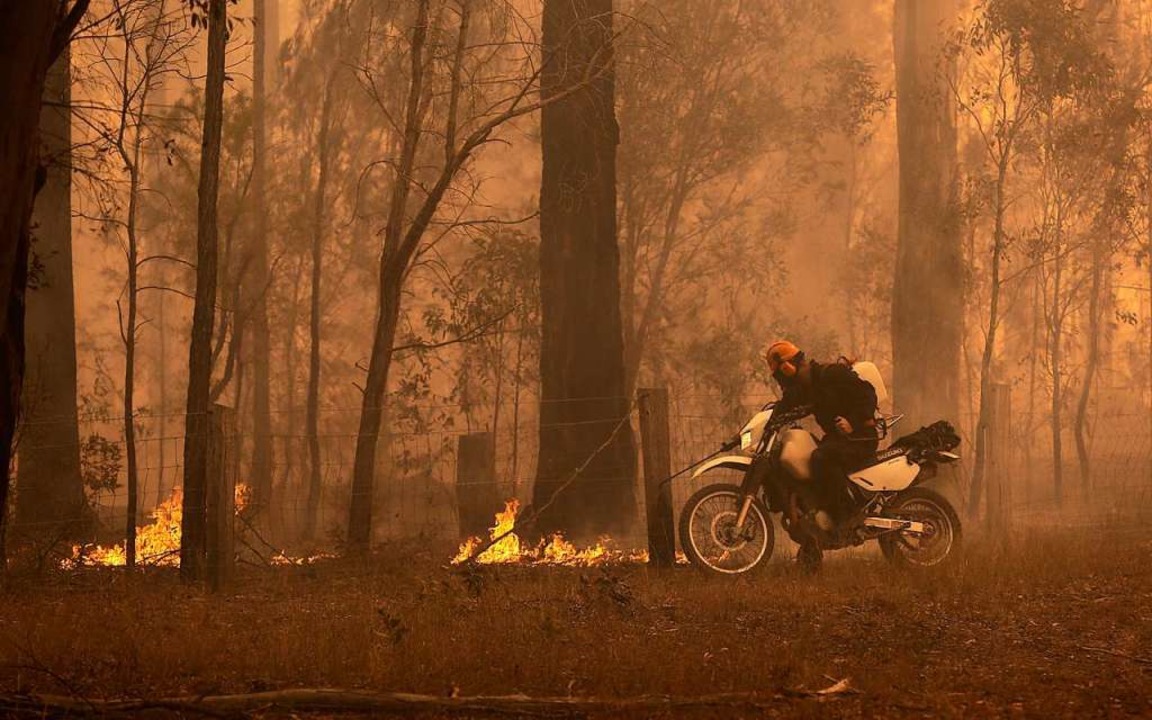 Buschfeuer bedrohen Großraum Sydney Panorama Badische Zeitung