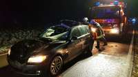 Autofahrer rammt Jungkuh in der Dunkelheit Autofahrer rammt Jungkuh in der Dunkelheit