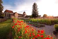 Genießen Sie den Blütenzauber am Bodensee Genießen Sie den Blütenzauber am Bodensee