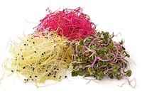 N�hrstoffpaket von der Fensterbank