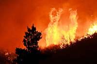Der Klimawandel und andere menschengemachte Gründe sind Ursachen der Waldbrände Der Klimawandel und andere menschengemachte Gründe sind Ursachen der Waldbrände