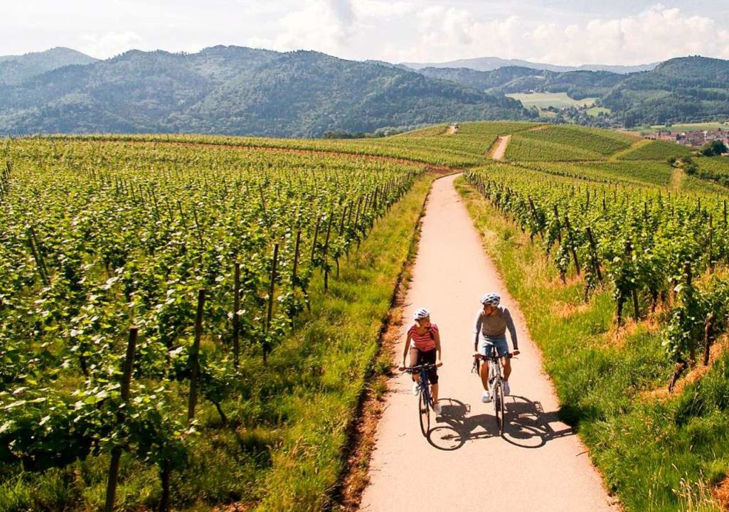 Entlang Des Badischen Weinradwegs Radeln Und Wein Genie En Kreis