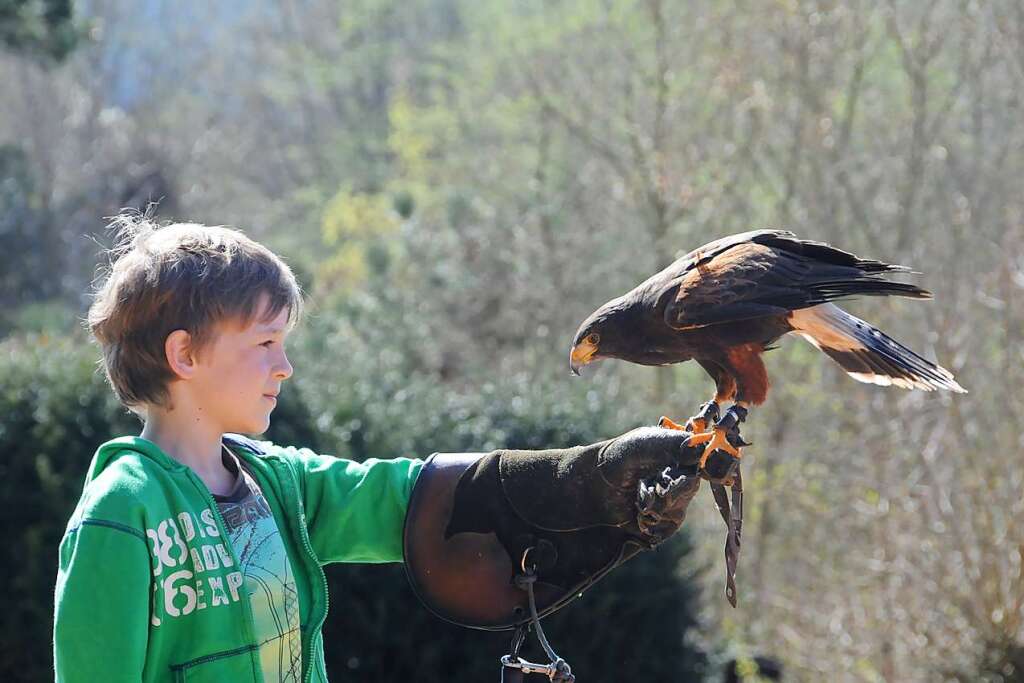 Im Vogelpark Steinen Gibt Es Nicht Nur V Gel Hautnah Zu Erleben