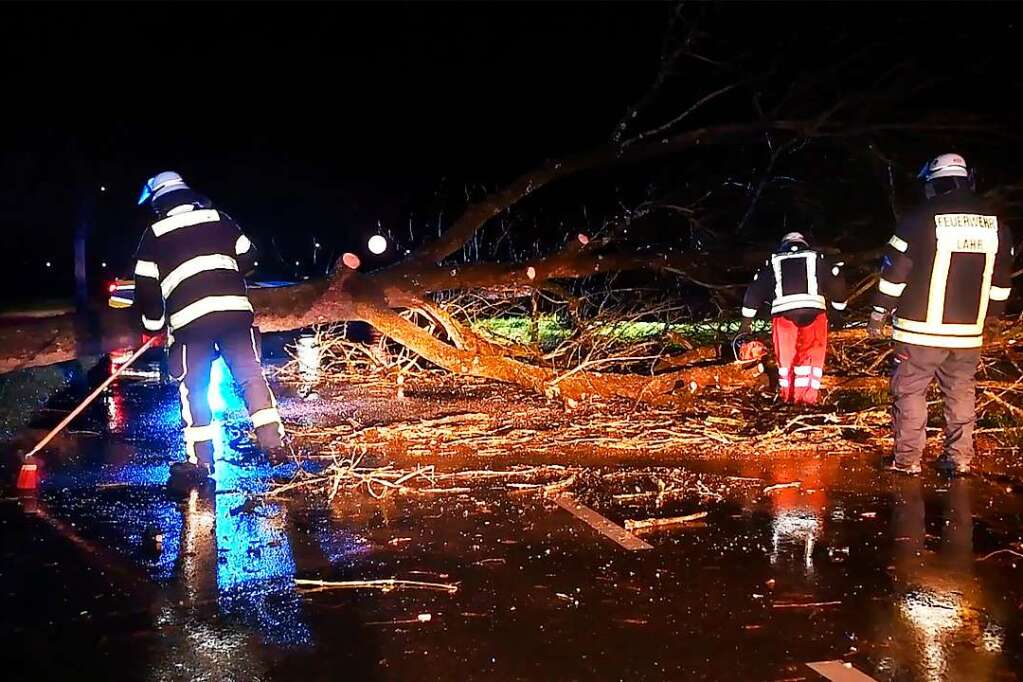 Starke Windböen bringen Bäume in Lahr und Meißenheim zu Fall Lahr