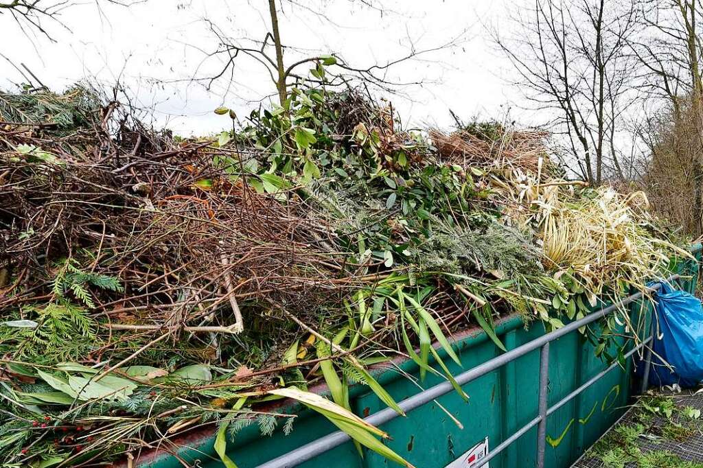 Gr Nabf Lle In Freiburg M Ssen Verwertet Oder Entsorgt Werden Niemals