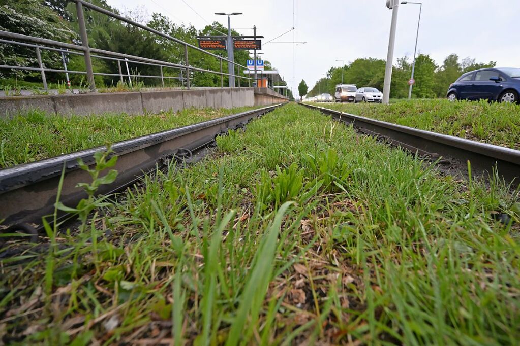 Streiks Im Ffentlichen Nahverkehr Im S Dwesten Haben Begonnen