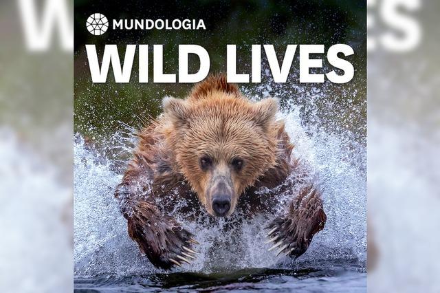 MUNDOLOGIA: Wild Lives