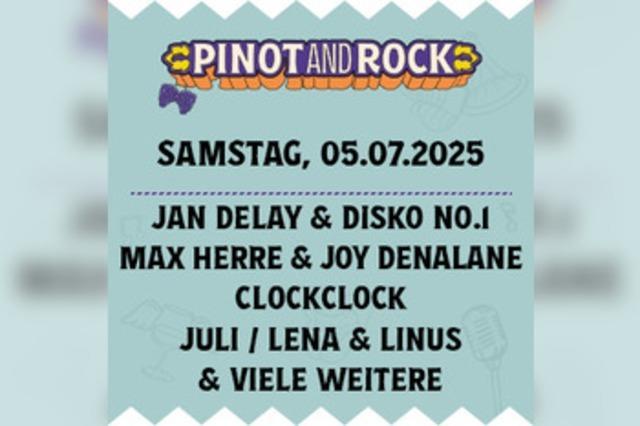 Jan Delay bei Pinot and Rock 2025