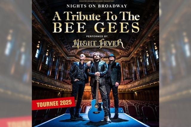 A Tribute to The Bee Gees
