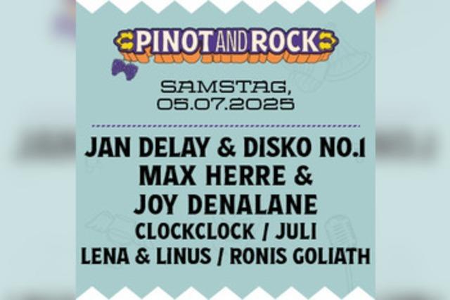 Jan Delay bei Pinot and Rock 2025