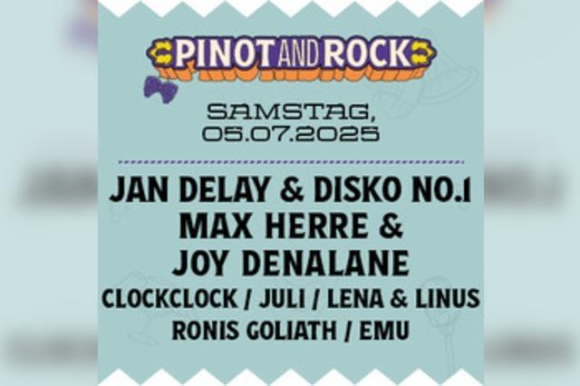 Jan Delay bei Pinot and Rock 2025