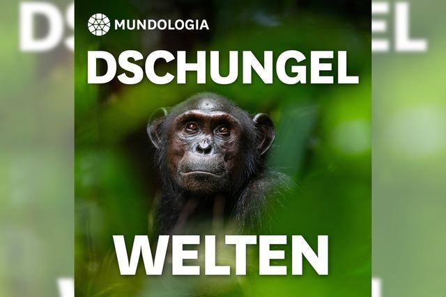 MUNDOLOGIA: Dschungelwelten