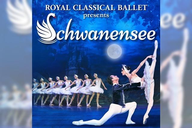 Schwanensee - Royal Classical Ballet