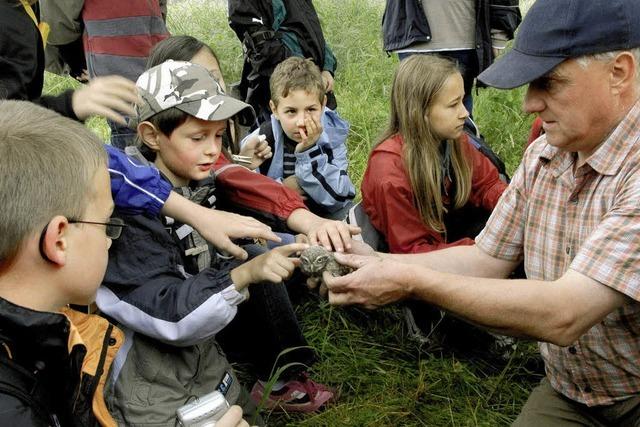 Der Lebensraum hat sich fr Steinkuze verbessert